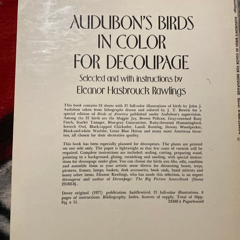  Audubon’s Birds in Color For Decoupage 