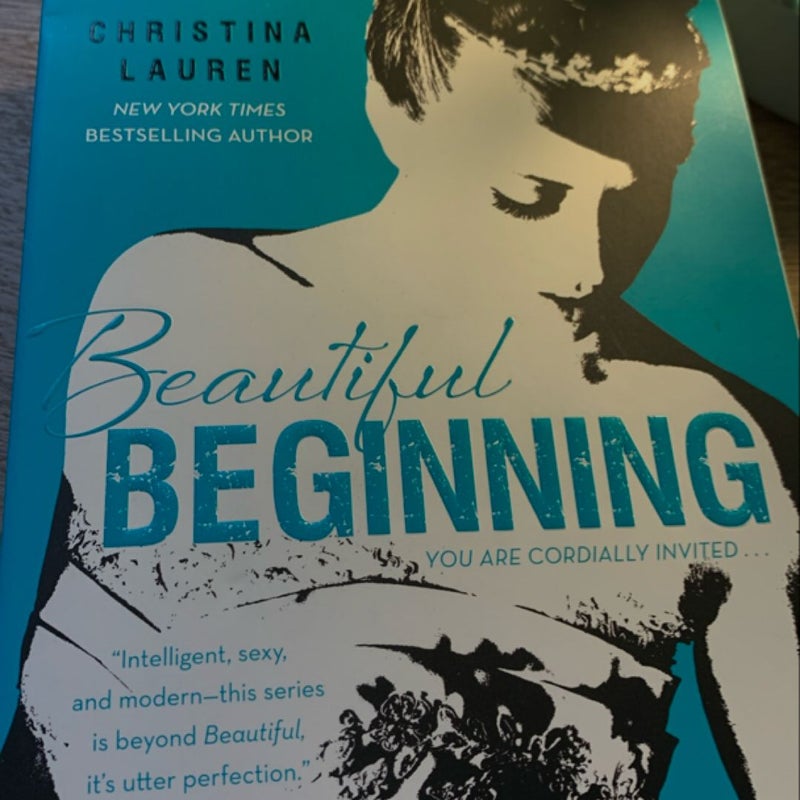 My Favorite Half-Night Stand & Beautiful Beginning - Christina Kauren Bundle