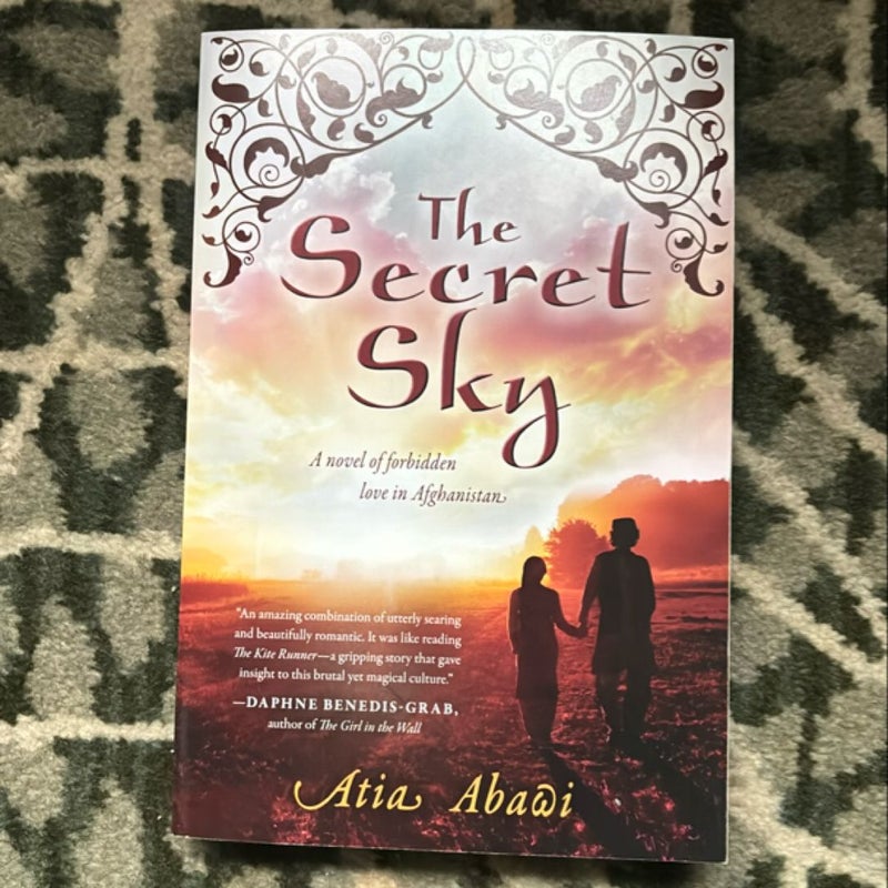 The Secret Sky