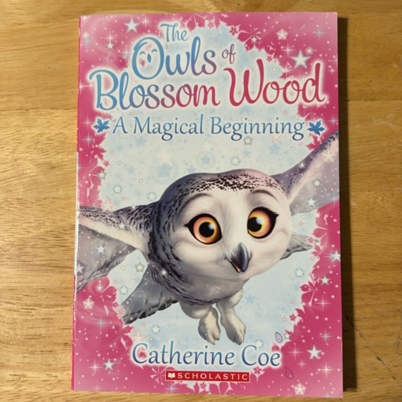 A Magical Beginning