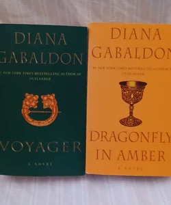 Voyager. 3 / Dragonfly in Amber. 2