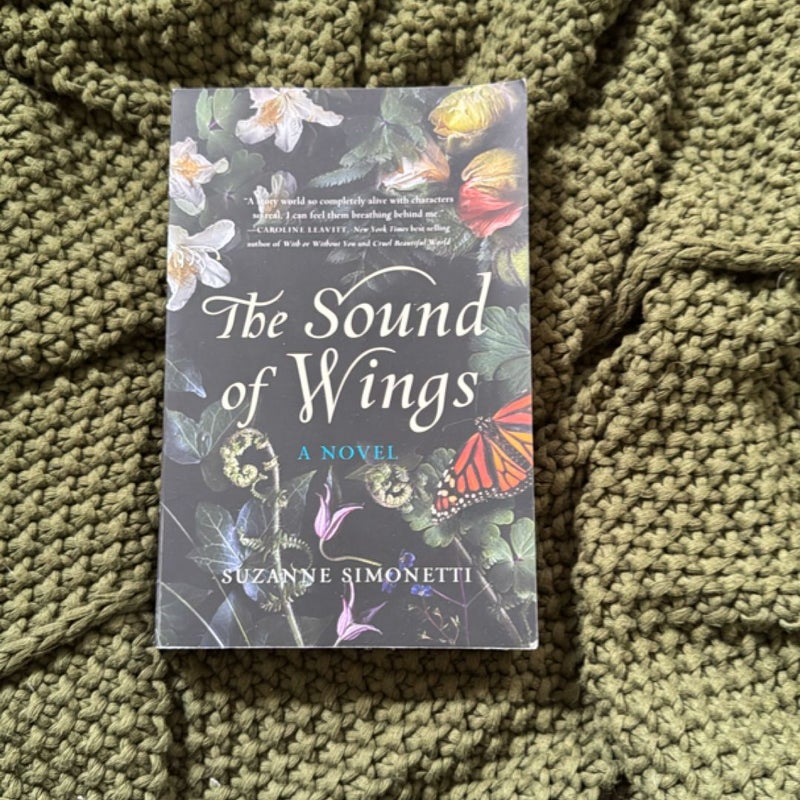 The Sound of Wings