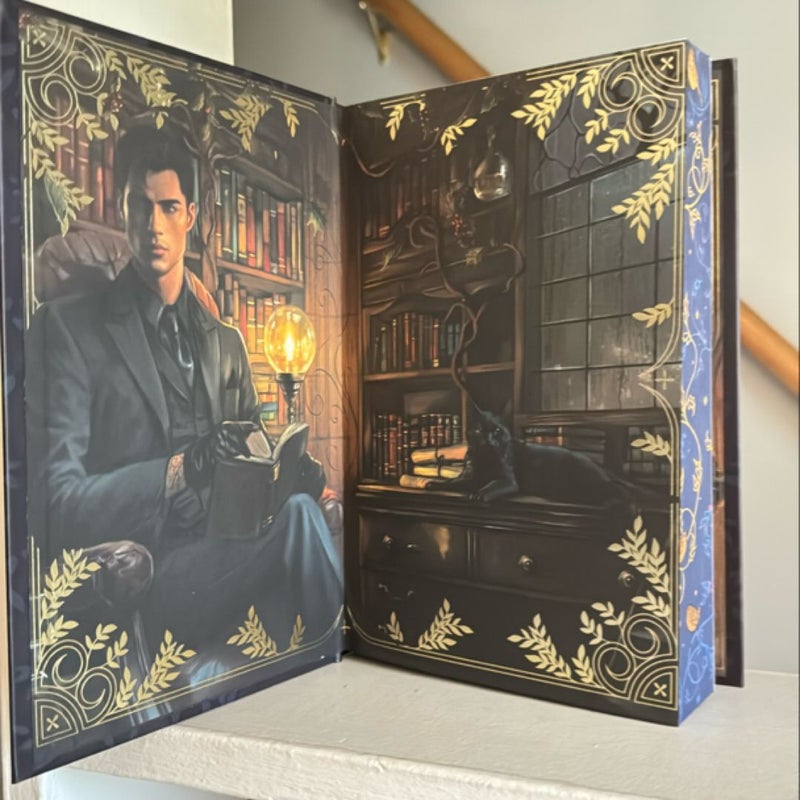 The wren in the holly library (Fairyloot)