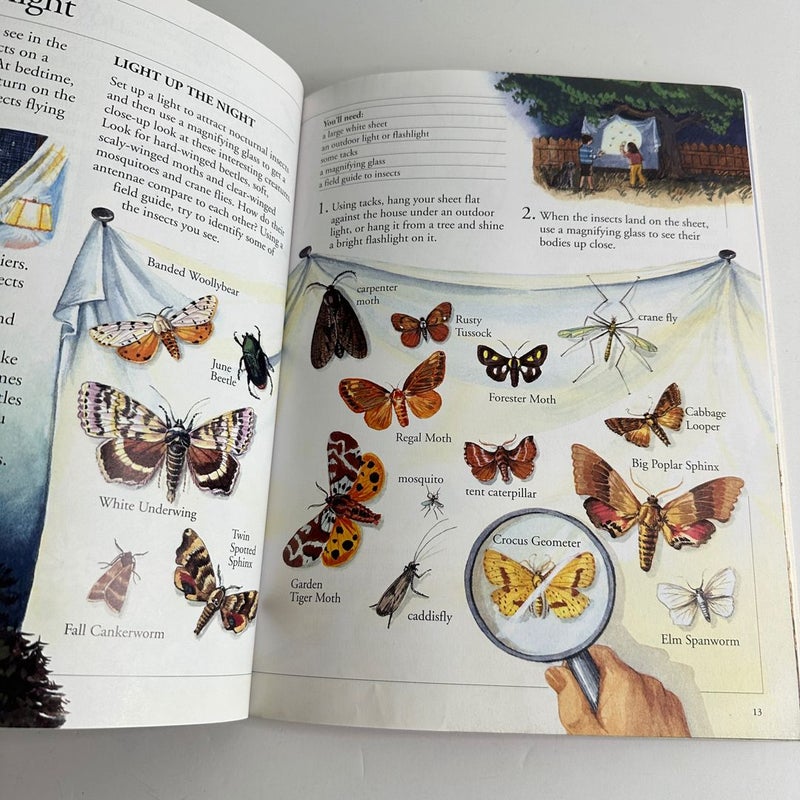 Starting With Nature: Plant, Bird, Tree, Bug book bundle