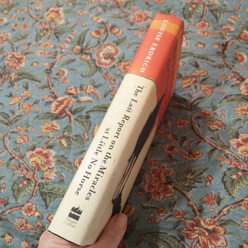 The Last Report on the Miracles at Little No Horse