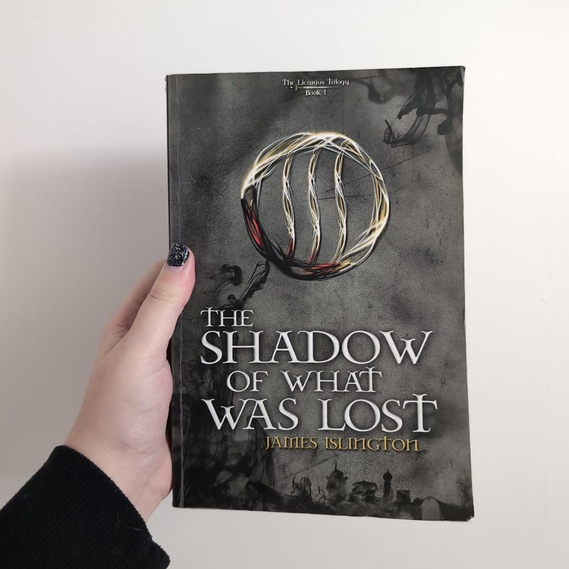 The Shadow of What Was Lost