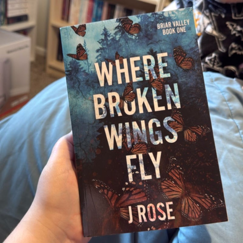 Where Broken Wings Fly