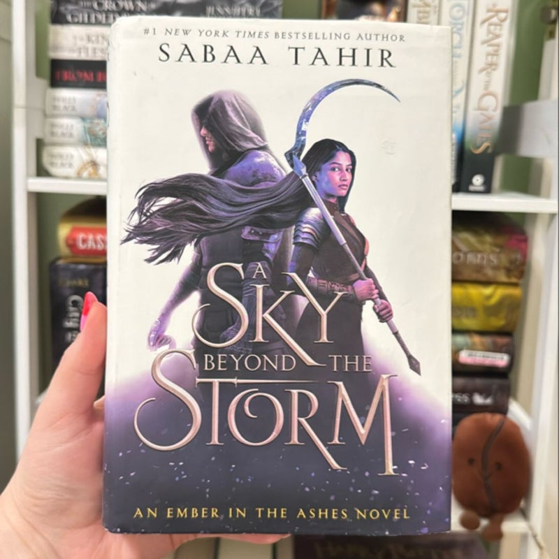 A Sky Beyond the Storm