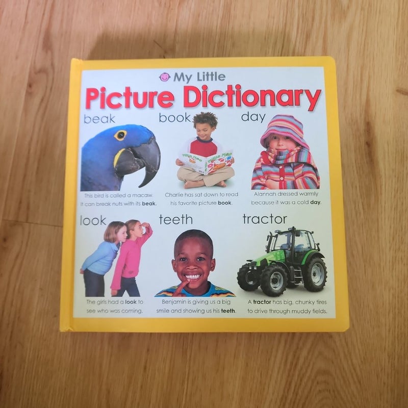 My Little Picture Dictionary