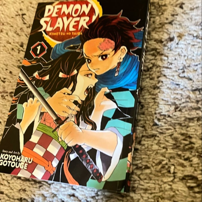 Demon Slayer: Kimetsu No Yaiba, Vol. 1