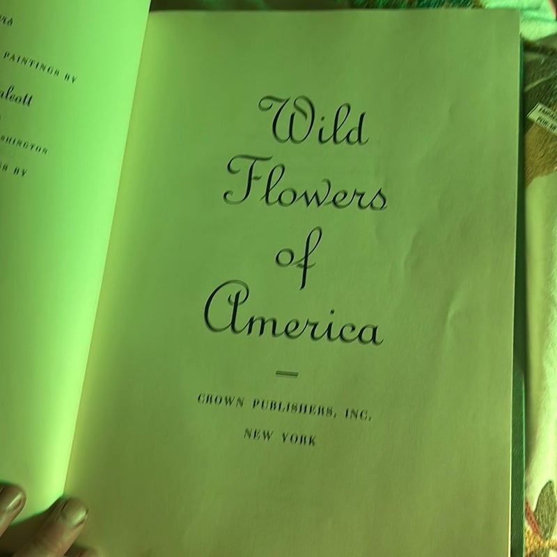 Wild flowers of America