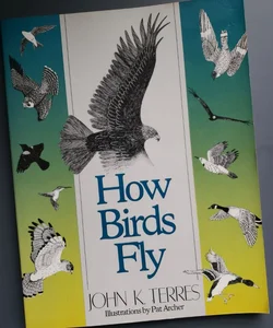 How Birds Fly