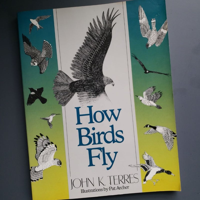 How Birds Fly