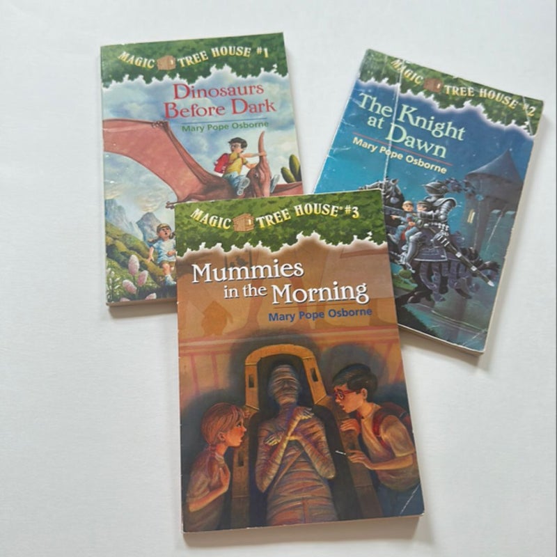 Lot of Magic Tree House books 1-3 