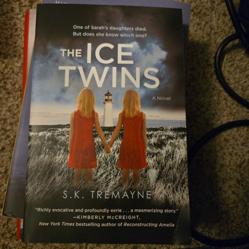 The Ice Twins