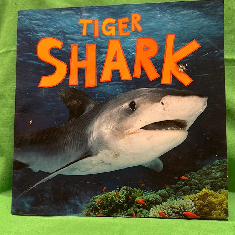 Discover Sharks - Pack Scholastic English Language