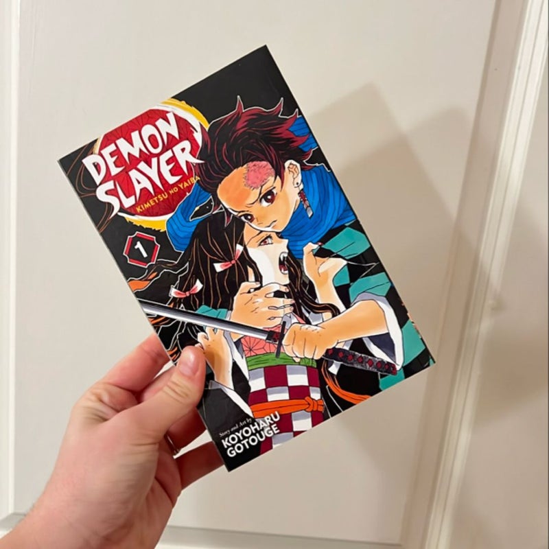 Demon Slayer: Kimetsu No Yaiba, Vol. 1