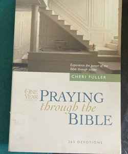 The One Year Praying Through the Bible