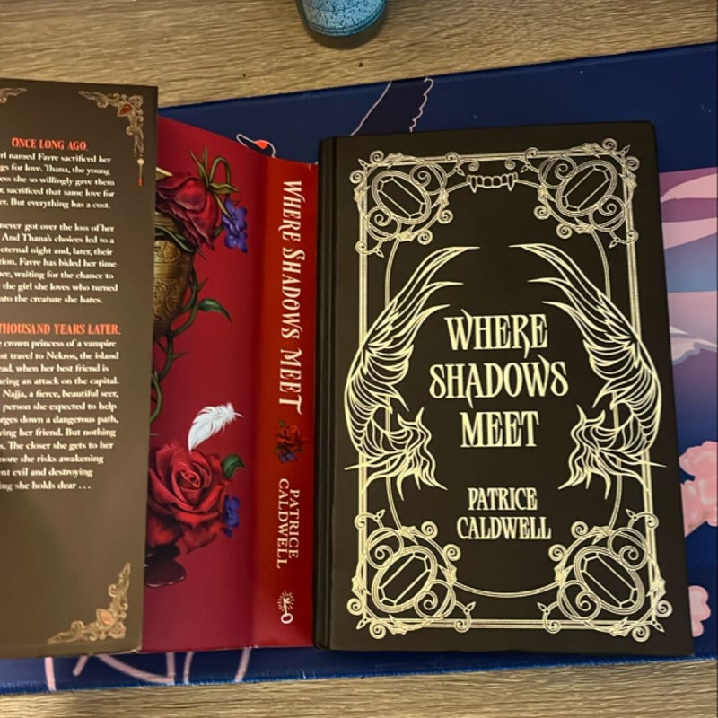 Where Shadows Meet - MARCH 2025 FAIRYLOOT