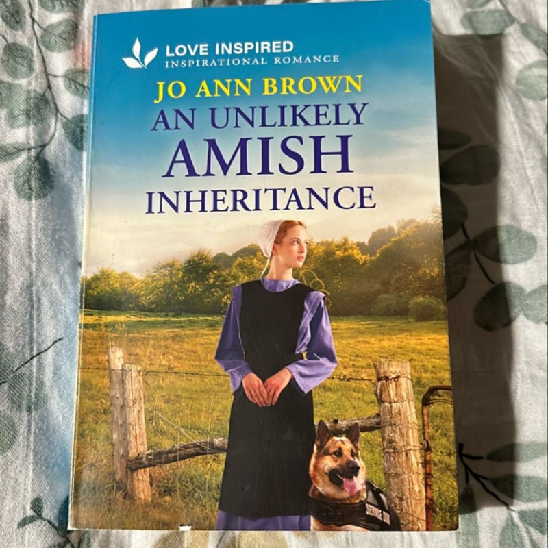 An Unlikely Amish Inheritance 