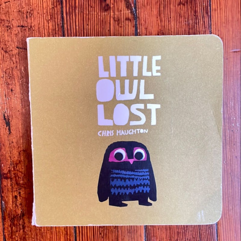 Little Owl Lost