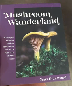 Mushroom Wanderland