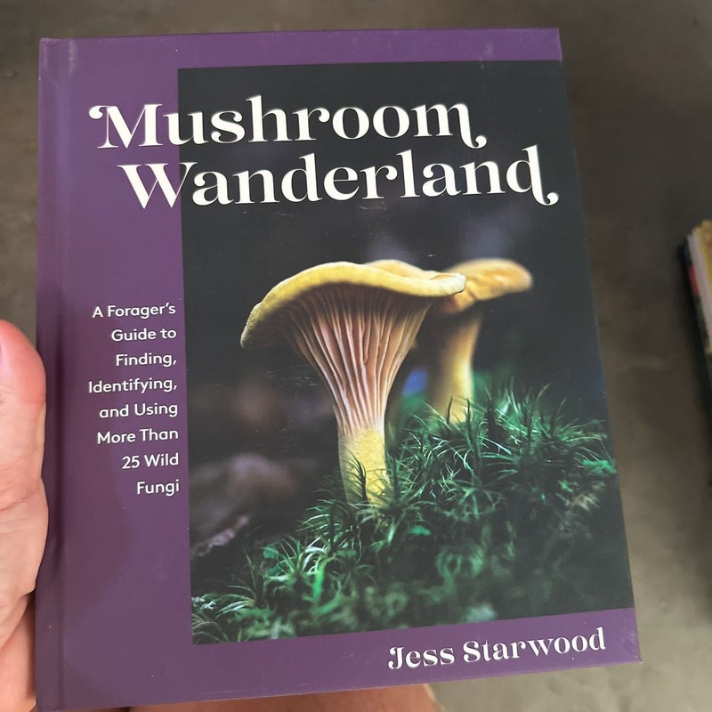 Mushroom Wanderland