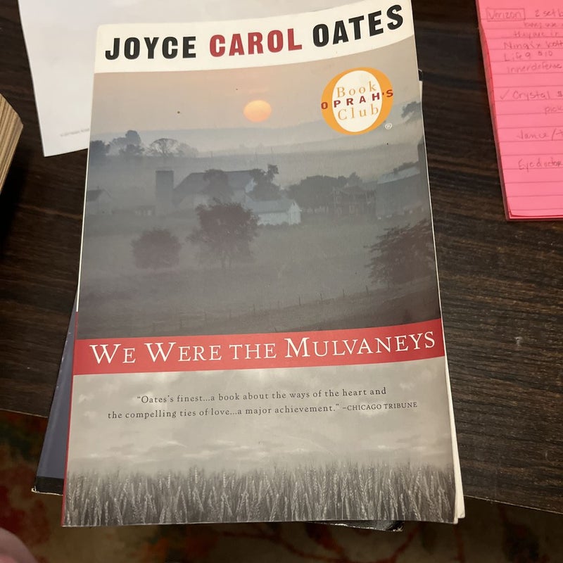 We Were the Mulvaneys