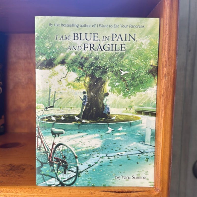 I Am Blue, in Pain, and Fragile (Light Novel)