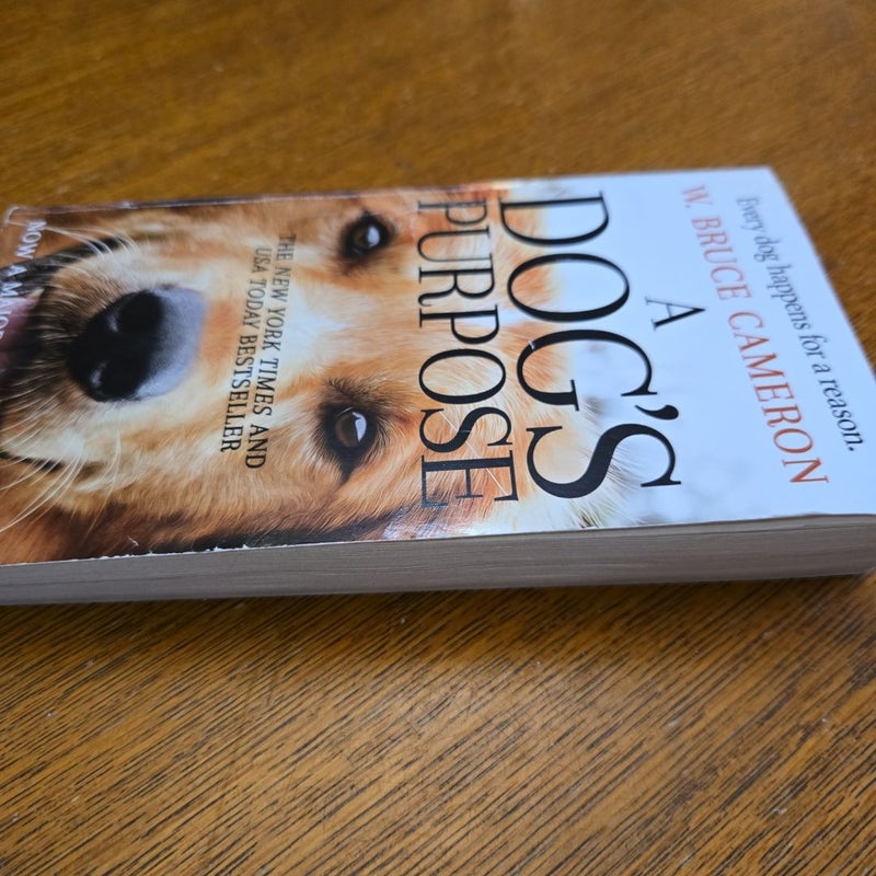 A Dog's Purpose