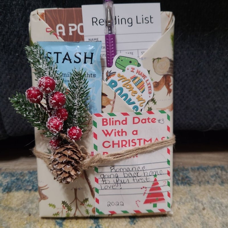 Blind date with a Christmas book