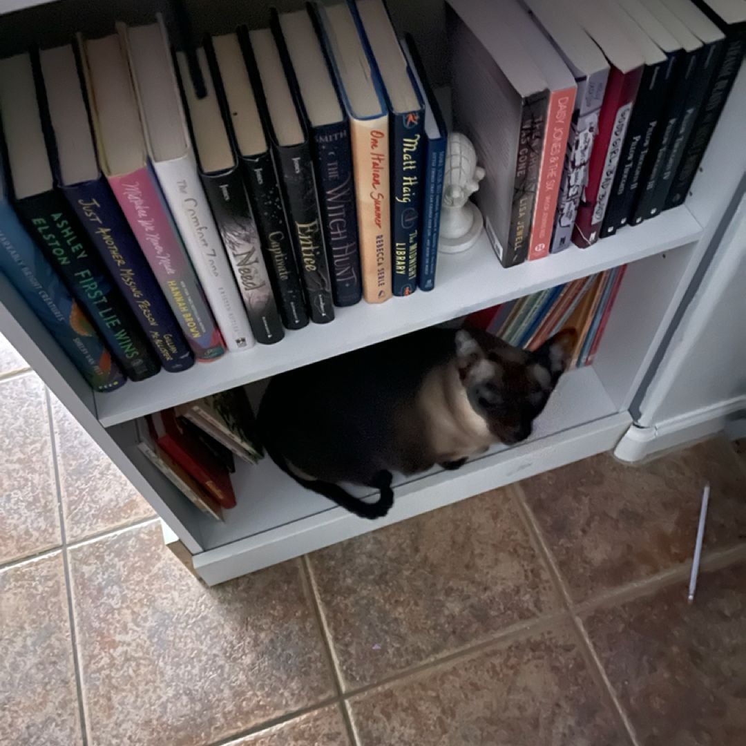 Trisha’s Corner