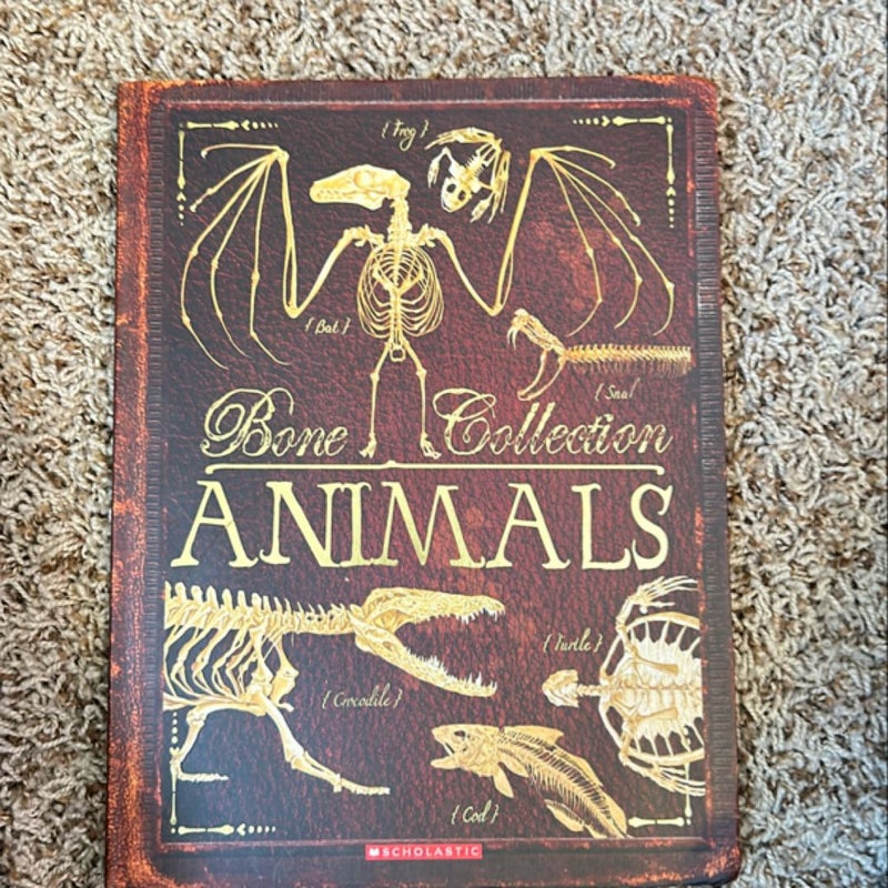 Bone Collection: Animals