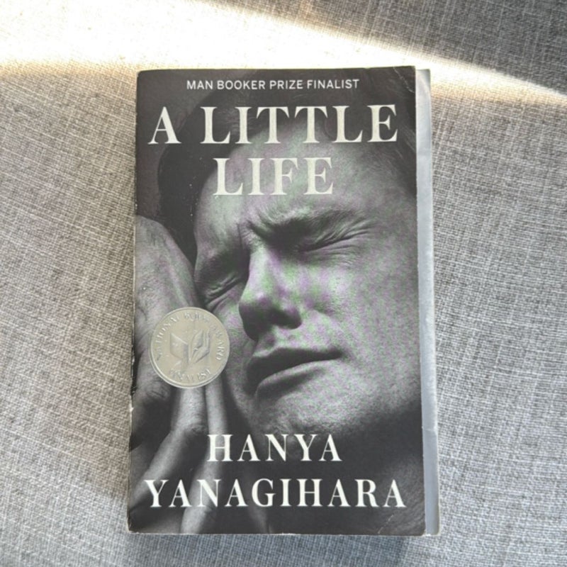 A Little Life