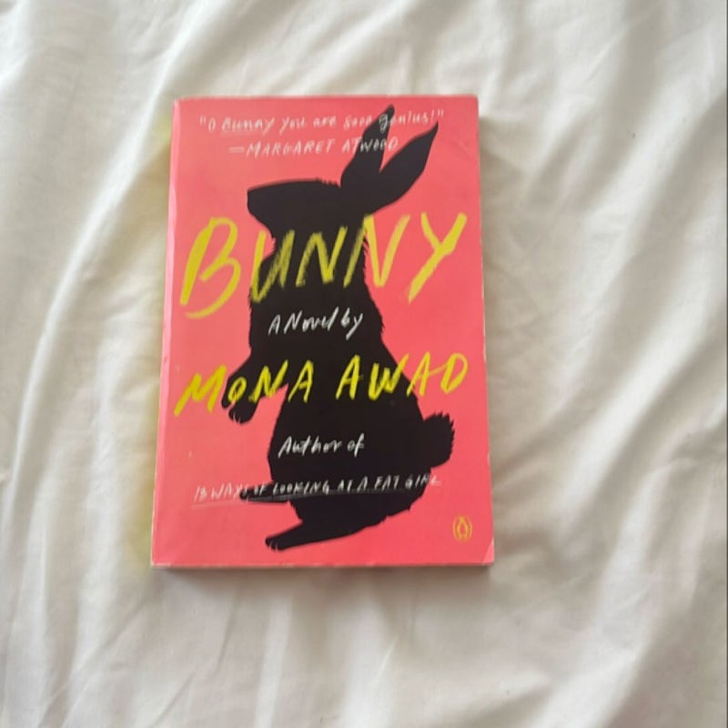 Bunny