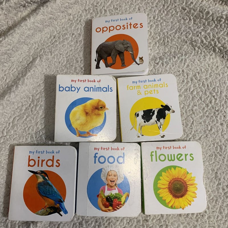 My First Book of Birds