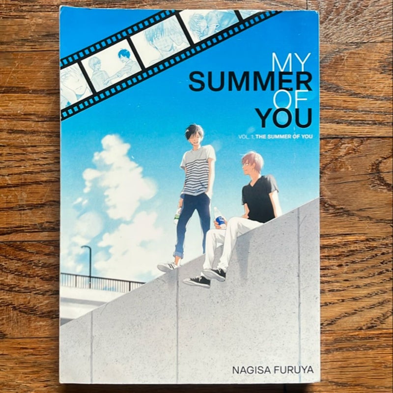 The Summer of You (My Summer of You Vol. 1)