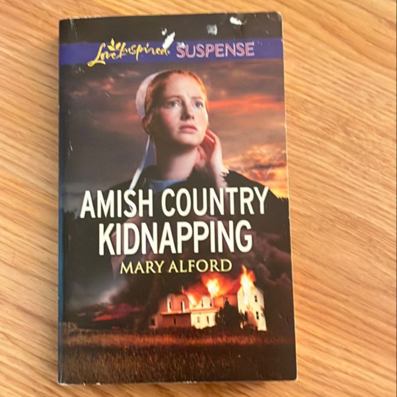 Amish Country Kidnapping and Amish Country Undercover