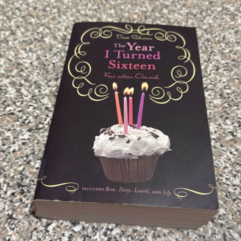 The Year I Turned Sixteen
