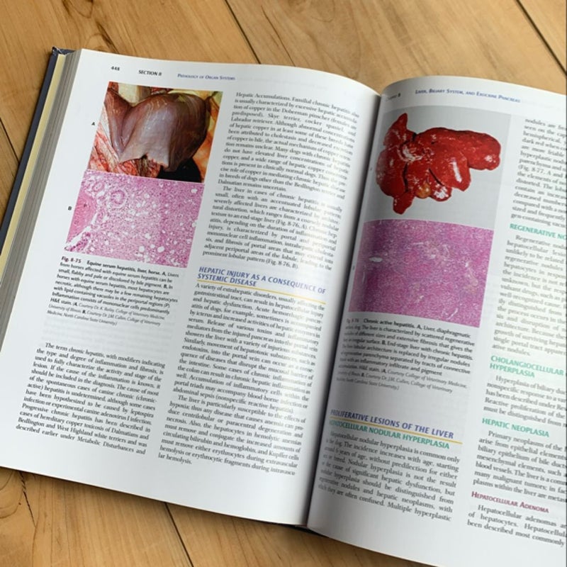 Pathologic Basis of Veterinary Disease