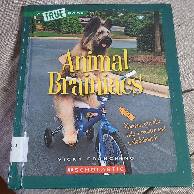 Animal Brainiacs