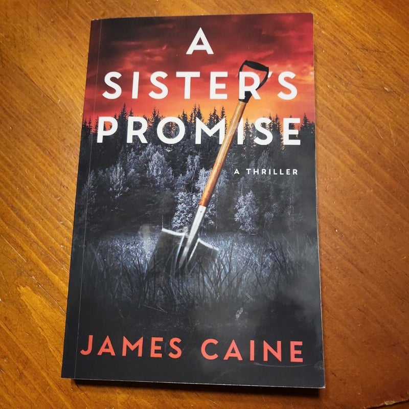 A Sister's Promise