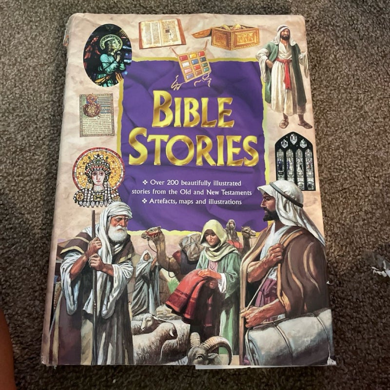 The Bible Stoires