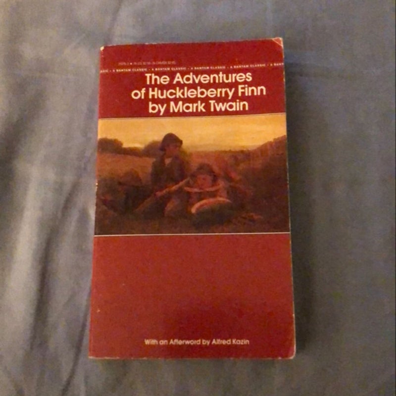 The Adventures of Huckleberry Finn  89