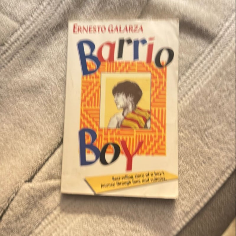 Barrio Boy