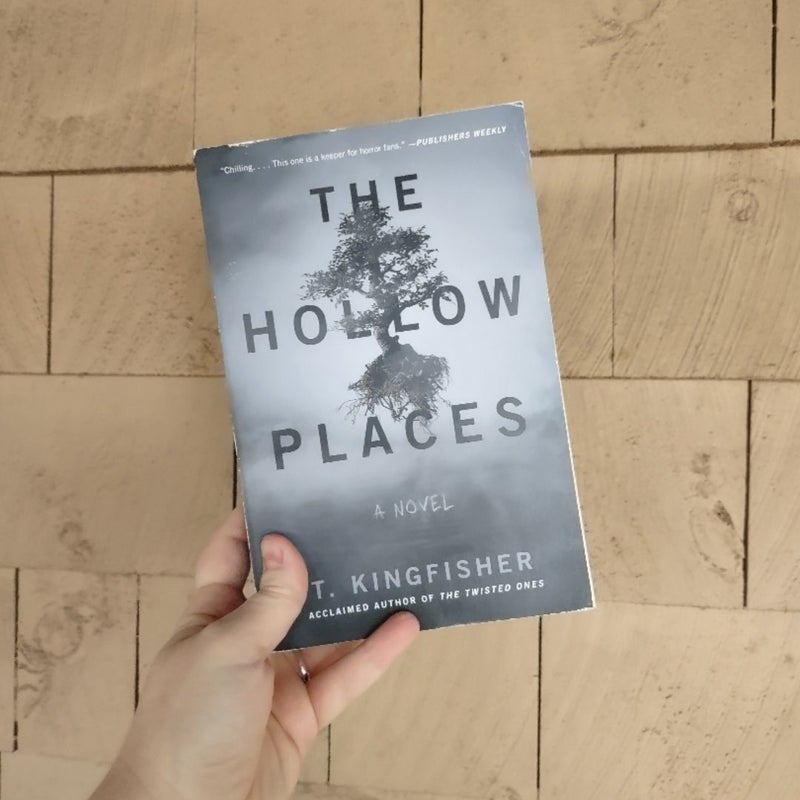 The Hollow Places