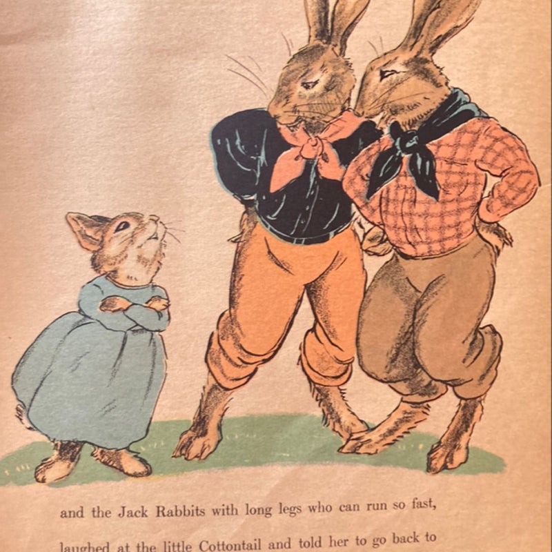 The Country Bunny and the Little Gold Shoes