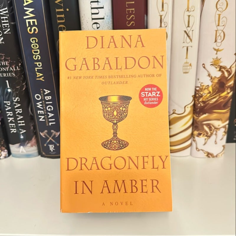 Dragonfly in Amber