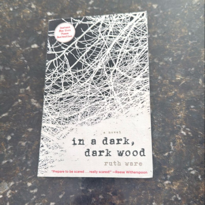 In a Dark, Dark Wood