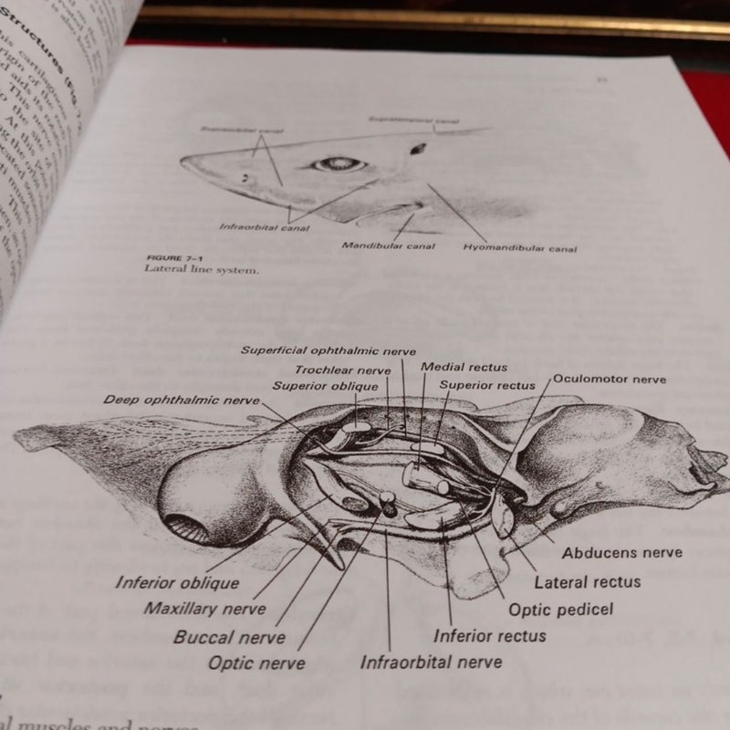 Atlas and Dissection Guide for Comparative Anatomy